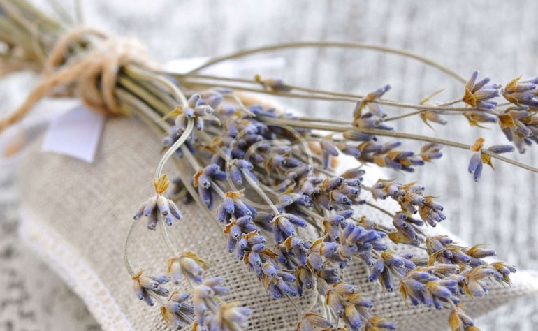 The Essential Link Between Physical Health and Intimate Relationships